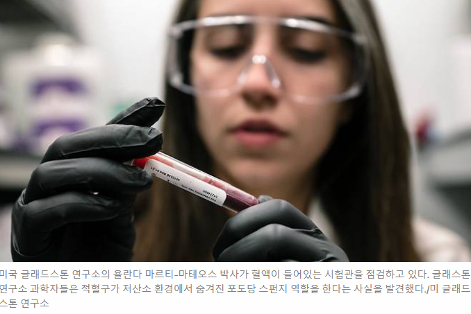 제목: 당뇨병에 강한 티베트인, 비밀은 적혈구