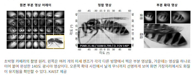 스마트폰 ‘카툭튀’ 해결?…두께 0.94mm 광시야 카메라 개발